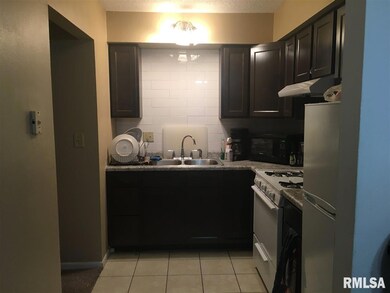 5119 N Ripley C-12 St, Davenport, IA 52806 - photo 3