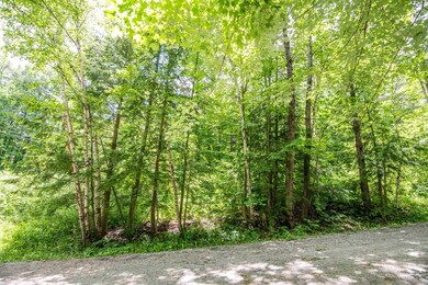 00 Hooke Rd, Ludlow, VT 05149 - photo 4