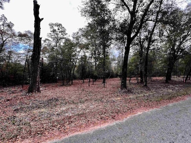 XX McCall Bridge Rd, Lake Talquin, FL 32351 - photo 4