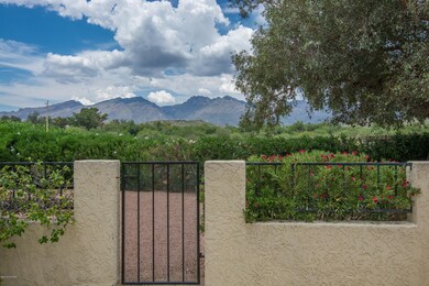 view over the fence