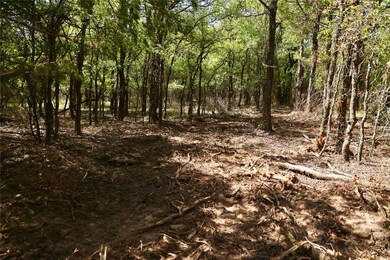 Tract 7 County Rd 4461, Decatur, TX 76234 - photo 7