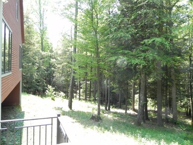 Beautiful woodland setting
