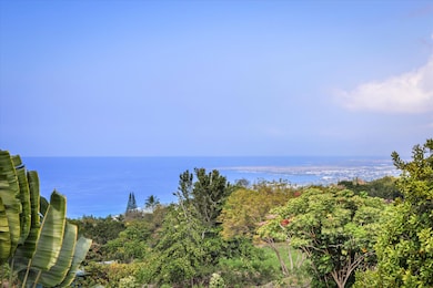 78-6656 Mamalahoa Hwy unit A, Holualoa, HI 96725 - photo 2