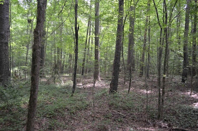 0 Dyson Dr unit TBD Dyson 2519207, Mebane, NC 27302 - photo 5