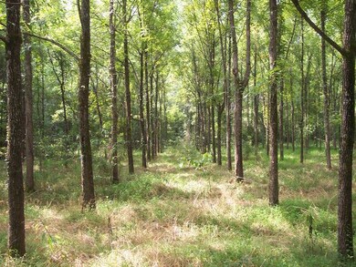 0 Madwind Point Point unit 102880, Dadeville, AL 36853 - photo 4