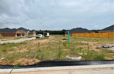 10059 Gold Finch Run, Magnolia, TX 77354 - photo 3