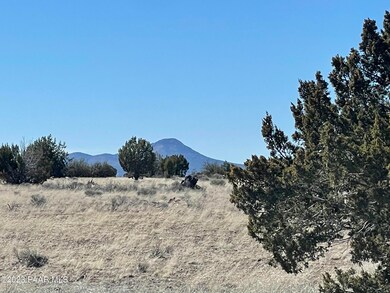 37a Juniperwood Ranch, Ash Fork, AZ 86320 - photo 7