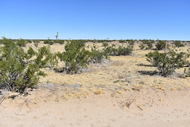 0 225th St E, Lancaster, CA 93544 - photo 2