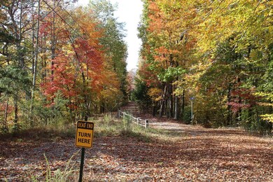 1 Gosser Ridge Spur, Russell Springs, KY 42624 - photo 2