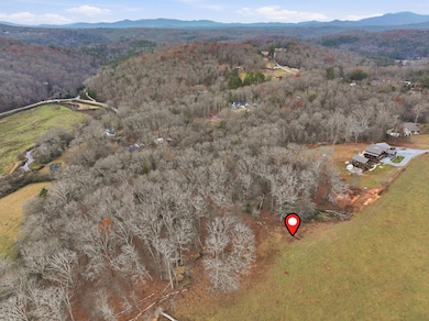 5.01 ac Ada St, Blue Ridge, GA 30513 - photo 2