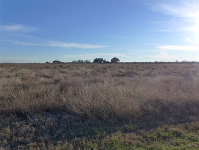 0000 W Tavener Rd, Beasley, TX 77417 - photo 3