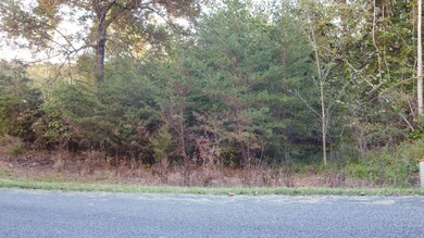 0 Hidden River Ln unit RTC2574947, Sparta, TN 38583 - photo 2