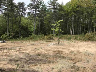 403 Route 25 E, Ossipee, NH 03814 - photo 2