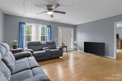 6 Mackenzie Way, Swannanoa, NC 28778 - photo 6