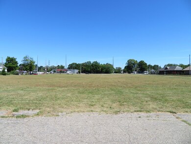 410 W Chicago Rd, Sturgis, MI 49091 - photo 6