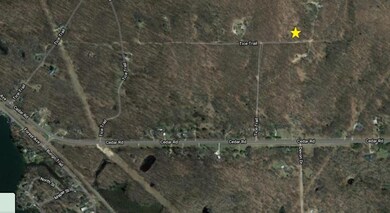 3180 Tice Trail, Lincoln Township, MI 48625 - photo 2