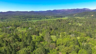 TL100 Lower River Rd, Grants Pass, OR 97526 - photo 7