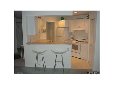 Nice open kitchen to Living room with Breakfast Ba