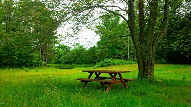 170 Ridge Lake Dr, Honesdale, PA 18431 - photo 7