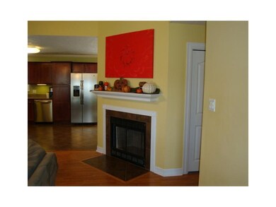 Other. Fireplace