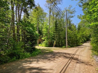 Part of Map 26 Lot 46 & 48 Mullins Bog Rd, Lincolnville, ME 04849 - photo 3