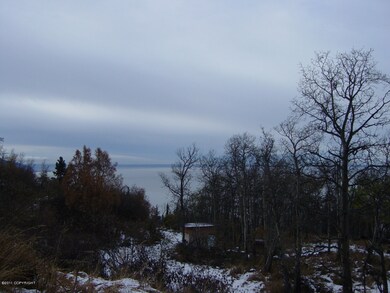 View from Lot
