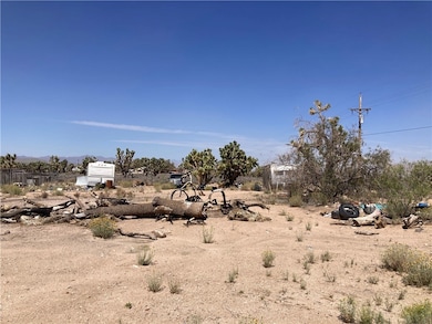 26305 N Sandy Point Dr, Meadview, AZ 86444 - photo 6