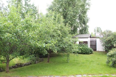 Back Yard 2