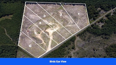 Williams Choctaw County unit MS, Williams, MS 39735 - photo 5