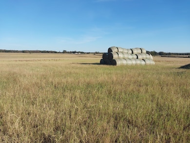 3350 Farm To Market 587, de Leon, TX 76444 - photo 3