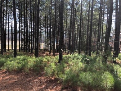 midway down left property line