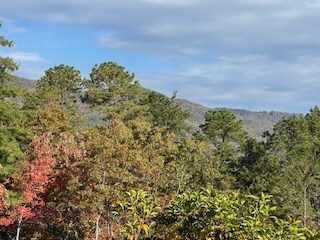 Lot 6 Jay Bird Trail, Franklin, NC 28734 - photo 5