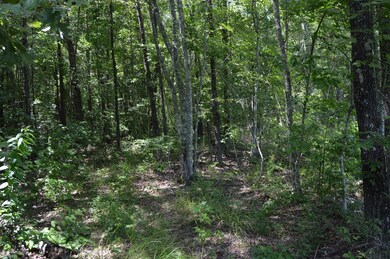 Build a cabin in the woods or in the open part of the property.