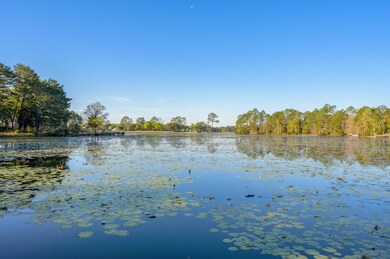 42-web-or-mls-679 Squirrel Rd-36
