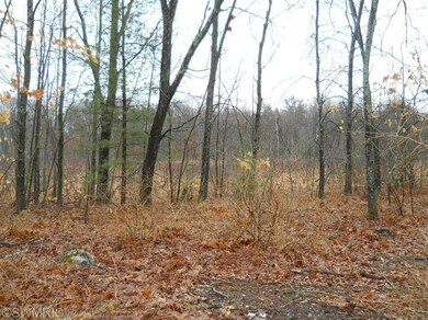 1414 Beaver Rd, Lilley Township, MI 49309 - photo 6