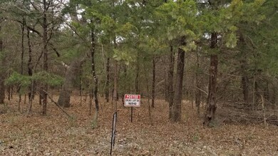 0000 County Road 263, Gainesville, TX 76240 - photo 2