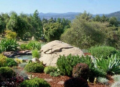 Front landscaping and views