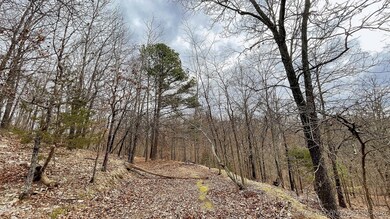 288 Crossroads Dr, Flint Creek, OK 74347 - photo 3