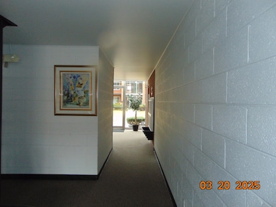 Babcock Cooperative unit 209, Royal Oak, MI 48073 - photo 6