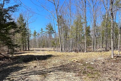 00 Foxtrot Lot 20 Dr unit 20, Farmington, NH 03835 - photo 4