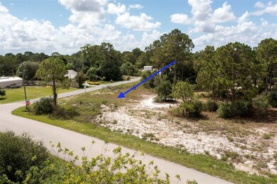 325 Gloria Blvd, Lake Placid, FL 33852 - photo 3