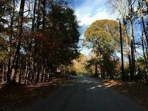 3627 Springtree Dr, Lithonia, GA 30038 - photo 4