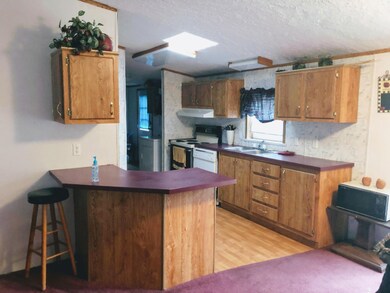 2455 W Pinewood Blvd, Bitely, MI 49309 - photo 7