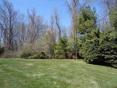 Yard/Garden.