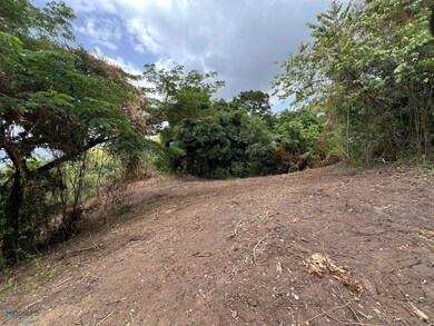 Ramal 150 Bo Guayabal Sitio Lajita unit A, Juana Diaz, PR 00795 - photo 3