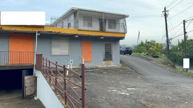 Km 4.2 Carr Pr 827, Toa Alta, PR 00953 - photo 2