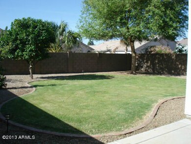 backyard2