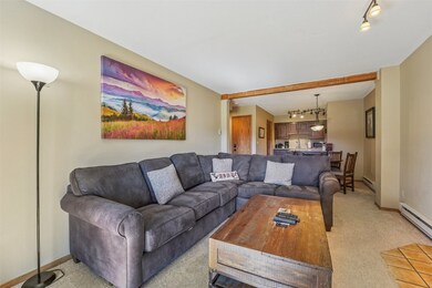 875 4 O Clock Rd unit D1, Breckenridge, CO 80424 - photo 5
