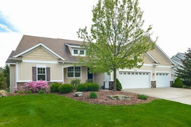 003-Front_View-4082573-medium