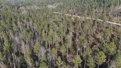 014 County Road 175, Piedmont, AL 36272 - photo 7